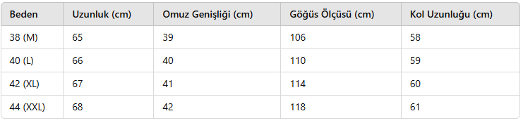 KADIN EB549  NAKIŞ GÖMLEK